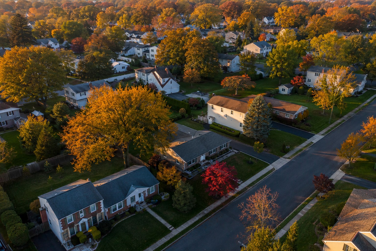 High-altitude drone view of a suburban neighborhood with mature tree canopy